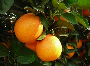 ��(j��ng)�^̫��ܚ��x�����κ������