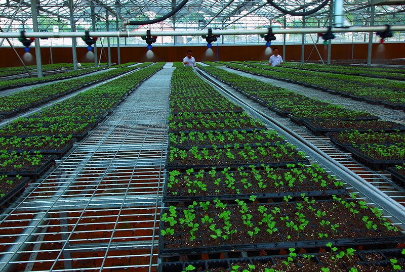 ˮ��һ�w�����g(sh��)