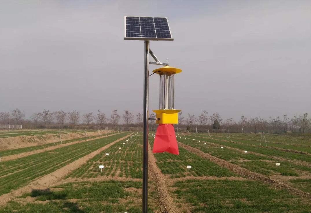 ̫��ܚ��x��