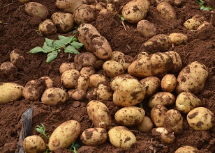 ���^̫��ܚ��x�����κ���R���