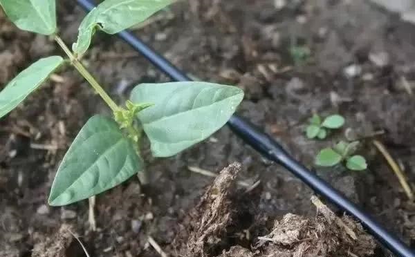 ˮ��һ�w�����g