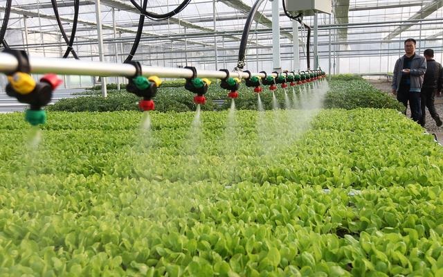 ����ˮ��һ�w����(y��u)��(sh��)���@��ʲô�ƏVȱ���y����