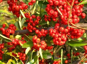 ��(j��ng)�^̫��ܚ��x�����κ�ļt��