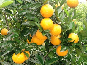 ��(j��ng)�^̫��ܚ��x�����κ�ı��ǳ�