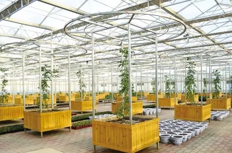 ϴl(f)չǻr(nng)I(y)(lin)W(wng)(g)ӱ