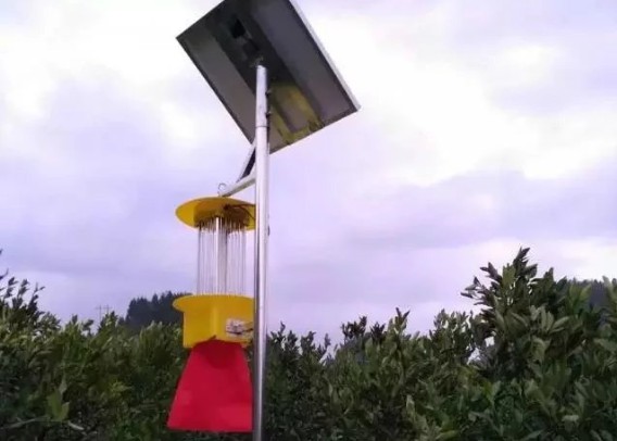 ጎ^(q)P(gun)(zhn)|ܴwxΰx