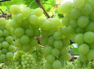 ��(j��ng)�^̫��ܚ��x�����κ������