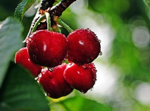 ��(j��ng)�^(gu��)̫�(y��ng)�ܚ��x�����κ�ę���